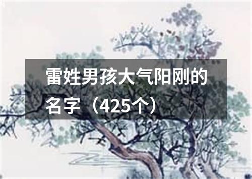 雷姓男孩大气阳刚的名字（425个）