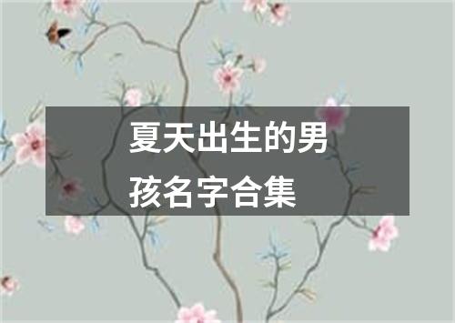 夏天出生的男孩名字合集