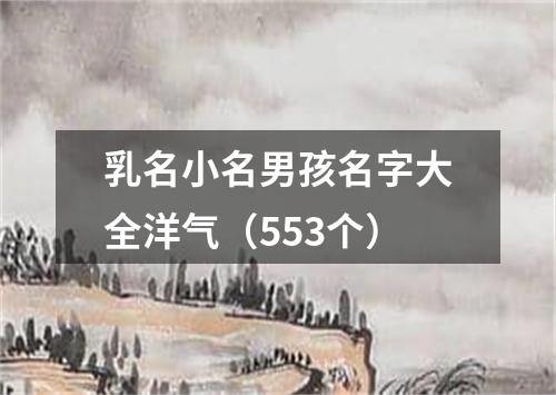 乳名小名男孩名字大全洋气（553个）