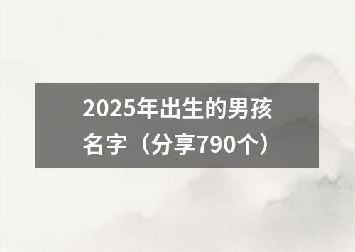 2025年出生的男孩名字（分享790个）
