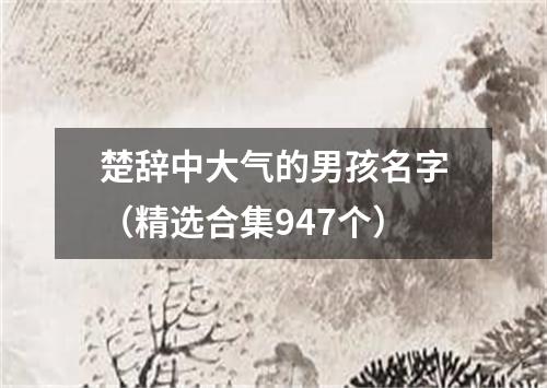 楚辞中大气的男孩名字（精选合集947个）