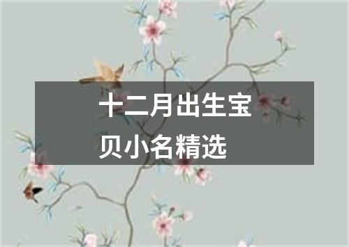 十二月出生宝贝小名精选
