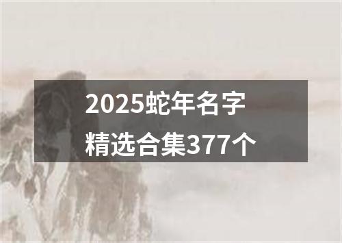 2025蛇年名字精选合集377个
