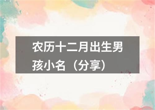 农历十二月出生男孩小名（分享）