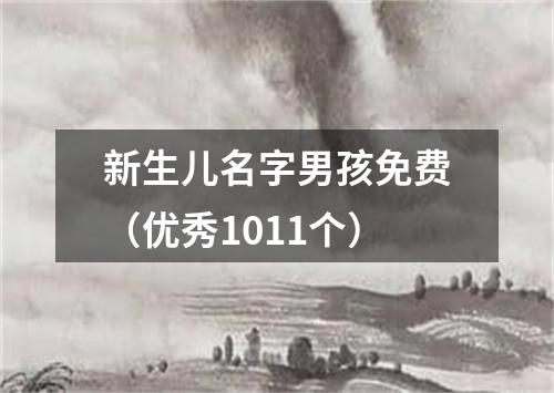 新生儿名字男孩免费（优秀1011个）
