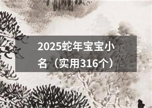 2025蛇年宝宝小名（实用316个）