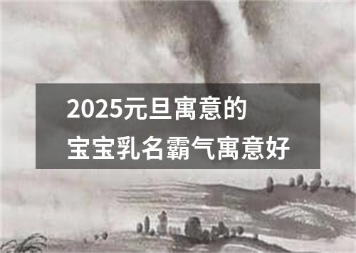 2025元旦寓意的宝宝乳名霸气寓意好