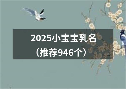 2025小宝宝乳名（推荐946个）