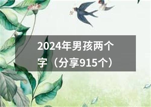2024年男孩两个字（分享915个）