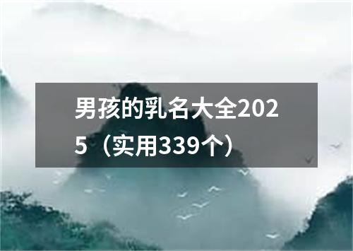 男孩的乳名大全2025（实用339个）