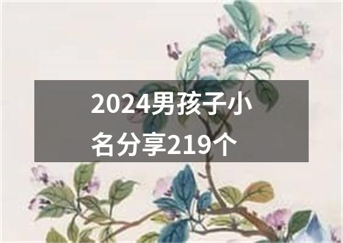 2024男孩子小名分享219个