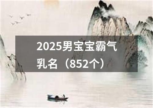 2025男宝宝霸气乳名（852个）