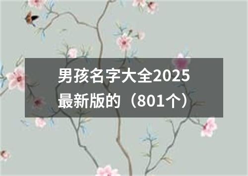 男孩名字大全2025最新版的（801个）