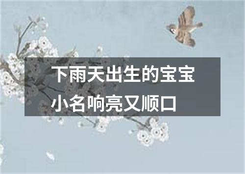 下雨天出生的宝宝小名响亮又顺口