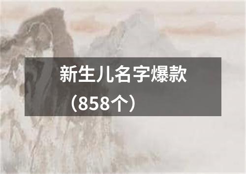 新生儿名字爆款（858个）