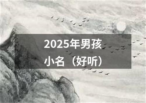 2025年男孩小名（好听）