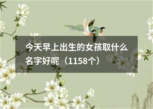 今天早上出生的女孩取什么名字好呢（1158个）