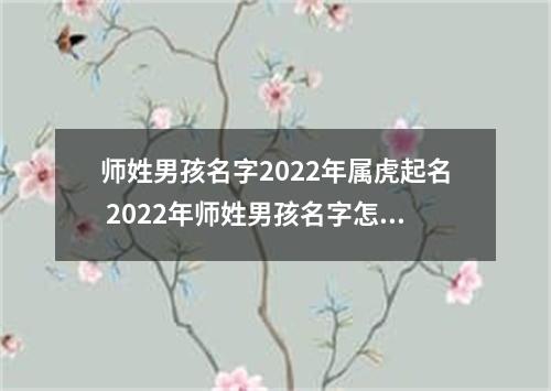 师姓男孩名字2022年属虎起名 2022年师姓男孩名字怎么起