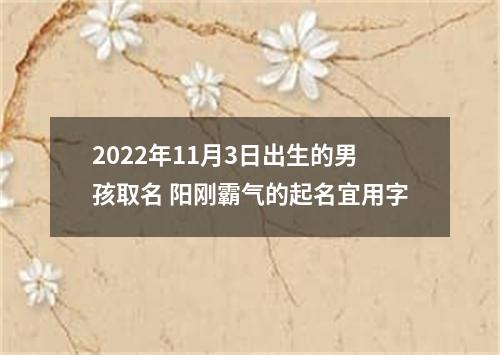 2022年11月3日出生的男孩取名 阳刚霸气的起名宜用字