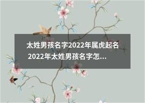 太姓男孩名字2022年属虎起名 2022年太姓男孩名字怎么起