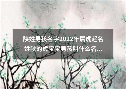 陕姓男孩名字2022年属虎起名 姓陕的虎宝宝男孩叫什么名字好