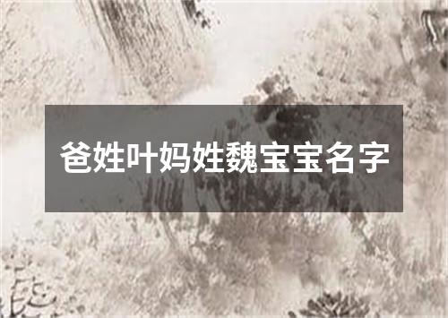 爸姓叶妈姓魏宝宝名字