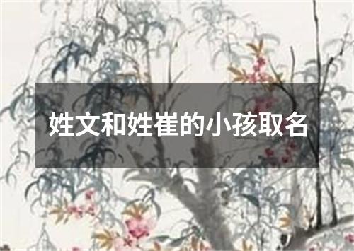 姓文和姓崔的小孩取名