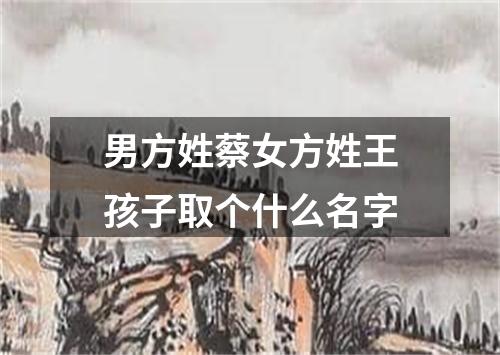 男方姓蔡女方姓王孩子取个什么名字