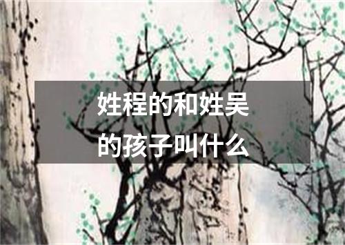 姓程的和姓吴的孩子叫什么