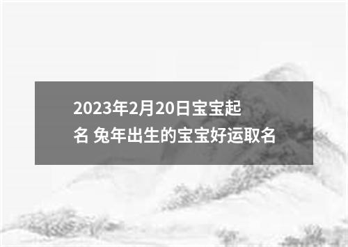 2023年2月20日宝宝起名 兔年出生的宝宝好运取名