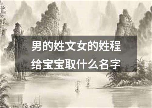男的姓文女的姓程给宝宝取什么名字