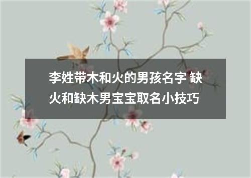 李姓带木和火的男孩名字 缺火和缺木男宝宝取名小技巧