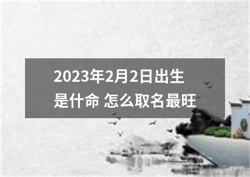 2023年2月2日出生是什命 怎么取名最旺