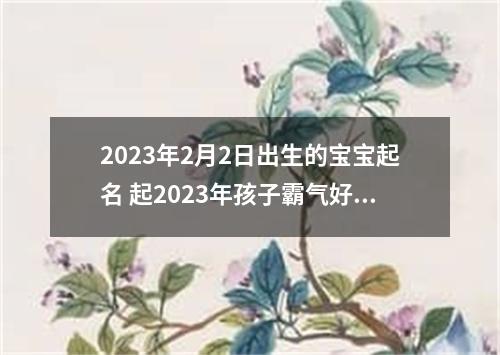 2023年2月2日出生的宝宝起名 起2023年孩子霸气好听的名字