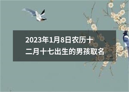 2023年1月8日农历十二月十七出生的男孩取名