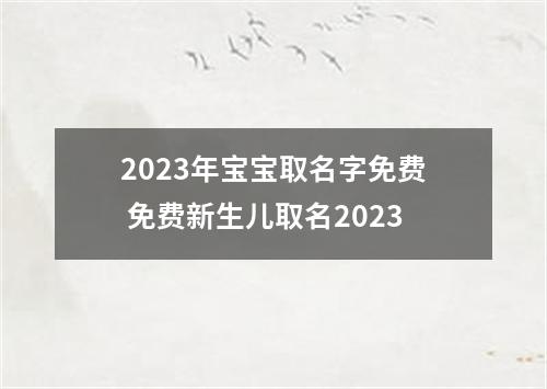 2023年宝宝取名字免费 免费新生儿取名2023