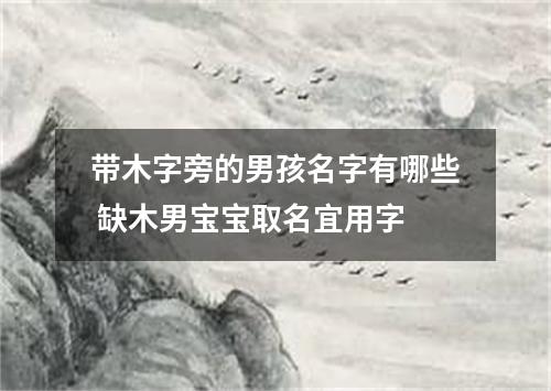 带木字旁的男孩名字有哪些 缺木男宝宝取名宜用字