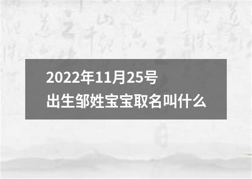 2022年11月25号出生邹姓宝宝取名叫什么