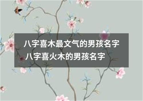八字喜木最文气的男孩名字 八字喜火木的男孩名字