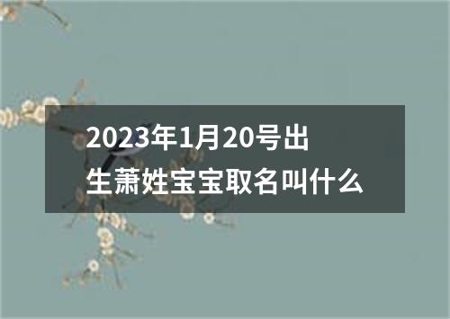 2023年1月20号出生萧姓宝宝取名叫什么