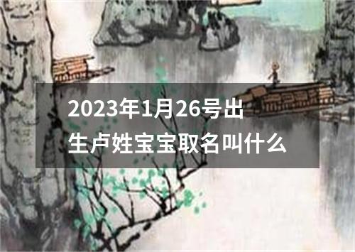 2023年1月26号出生卢姓宝宝取名叫什么