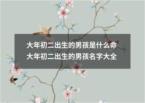 大年初二出生的男孩是什么命 大年初二出生的男孩名字大全
