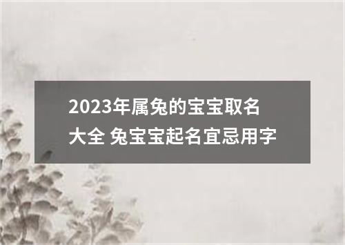 2023年属兔的宝宝取名大全 兔宝宝起名宜忌用字
