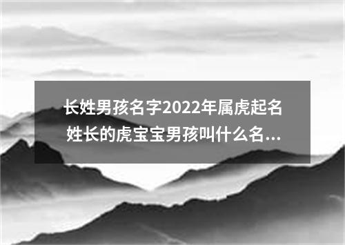 长姓男孩名字2022年属虎起名 姓长的虎宝宝男孩叫什么名字好