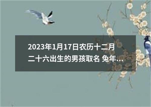2023年1月17日农历十二月二十六出生的男孩取名 兔年男生喜用字