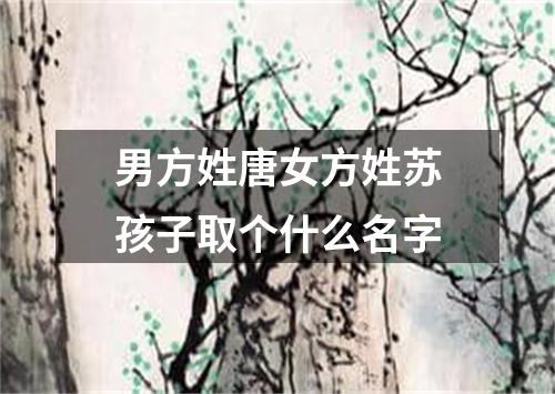 男方姓唐女方姓苏孩子取个什么名字