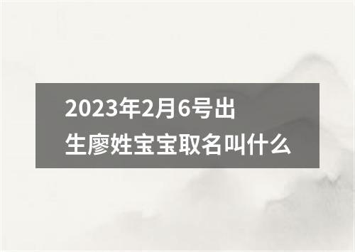 2023年2月6号出生廖姓宝宝取名叫什么