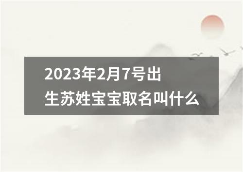 2023年2月7号出生苏姓宝宝取名叫什么