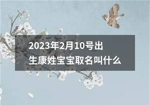 2023年2月10号出生康姓宝宝取名叫什么