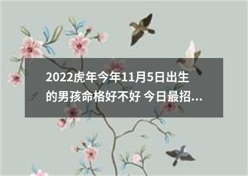 2022虎年今年11月5日出生的男孩命格好不好 今日最招财的男孩名字推荐